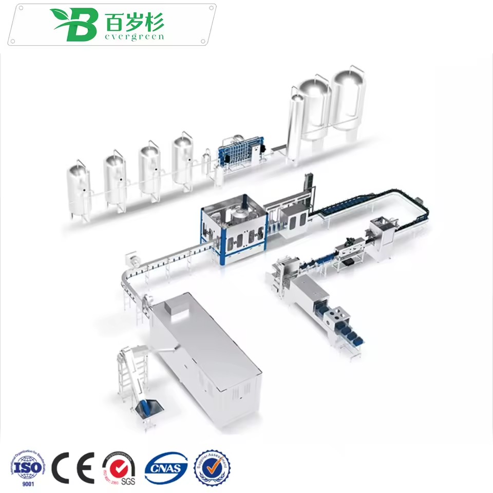 BS-Automatic 500ml Water Filling and Capping Machine Line 2000-3000Bph Complete PET Bottled Drinking Mineral Water Filling Line