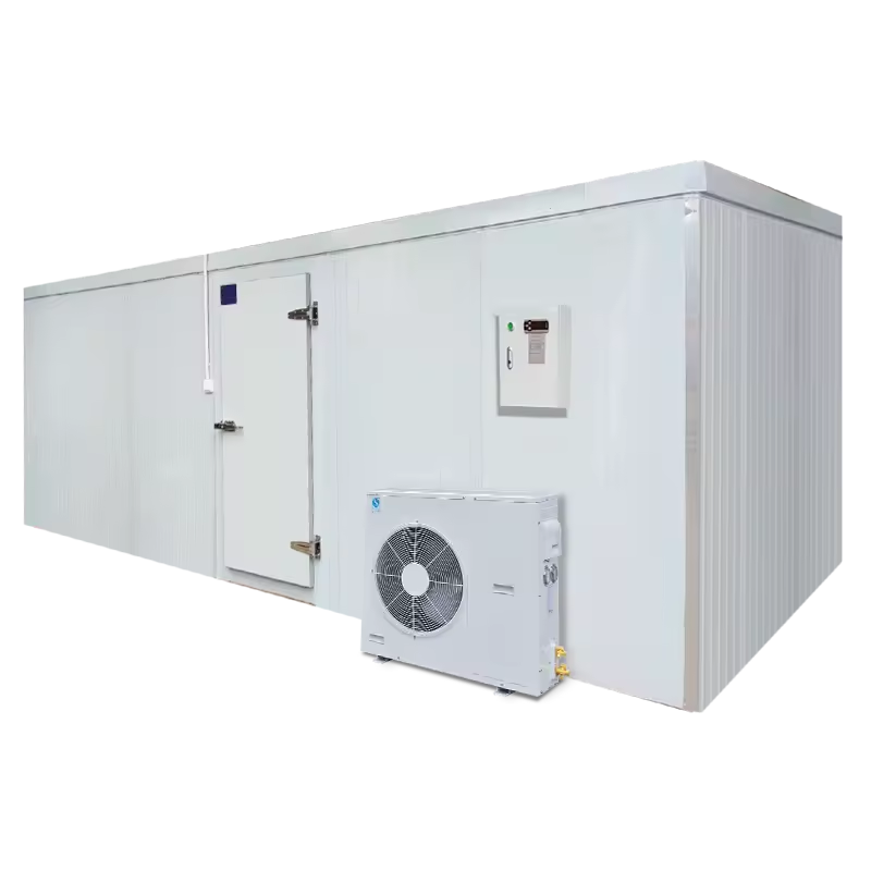 Custom Dual-Temperature Quick-Freezing Commercial Agricultural Cold Storage Full Set Equipment for Fresh Fruit Frozen Storage