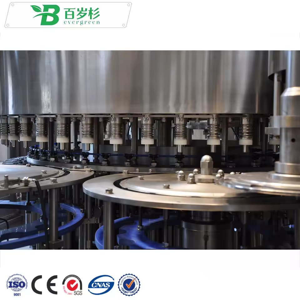 BS-Water Treatment Plant and Filling Machine, Fully Automatic Mineral Water Plant, Mineral Water Filling Production Line
