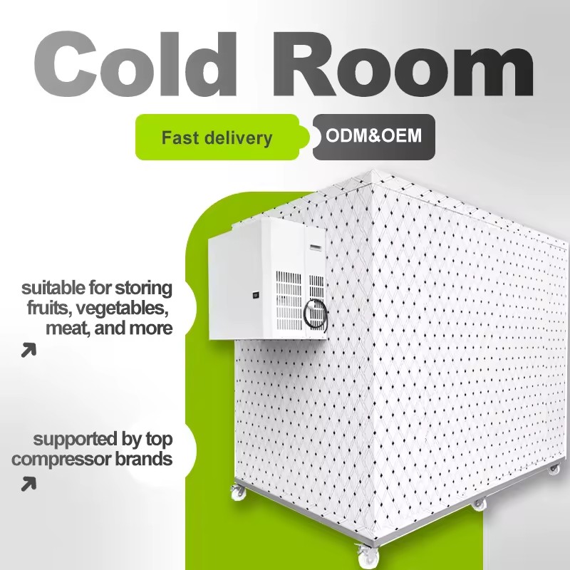 Accessible Chambre Froide Use Refrigeration Equipments and Freezing Equipments