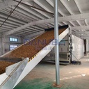 High Performance Peanut Mesh Belt Dryer Peanut Cleaning Steaming and Drying Production Line