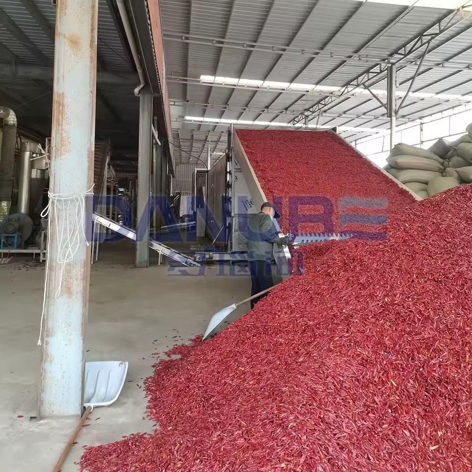 Leading Technology Chili Cleaning Drying and Grinding Production Line Chili Mesh Belt Dryer