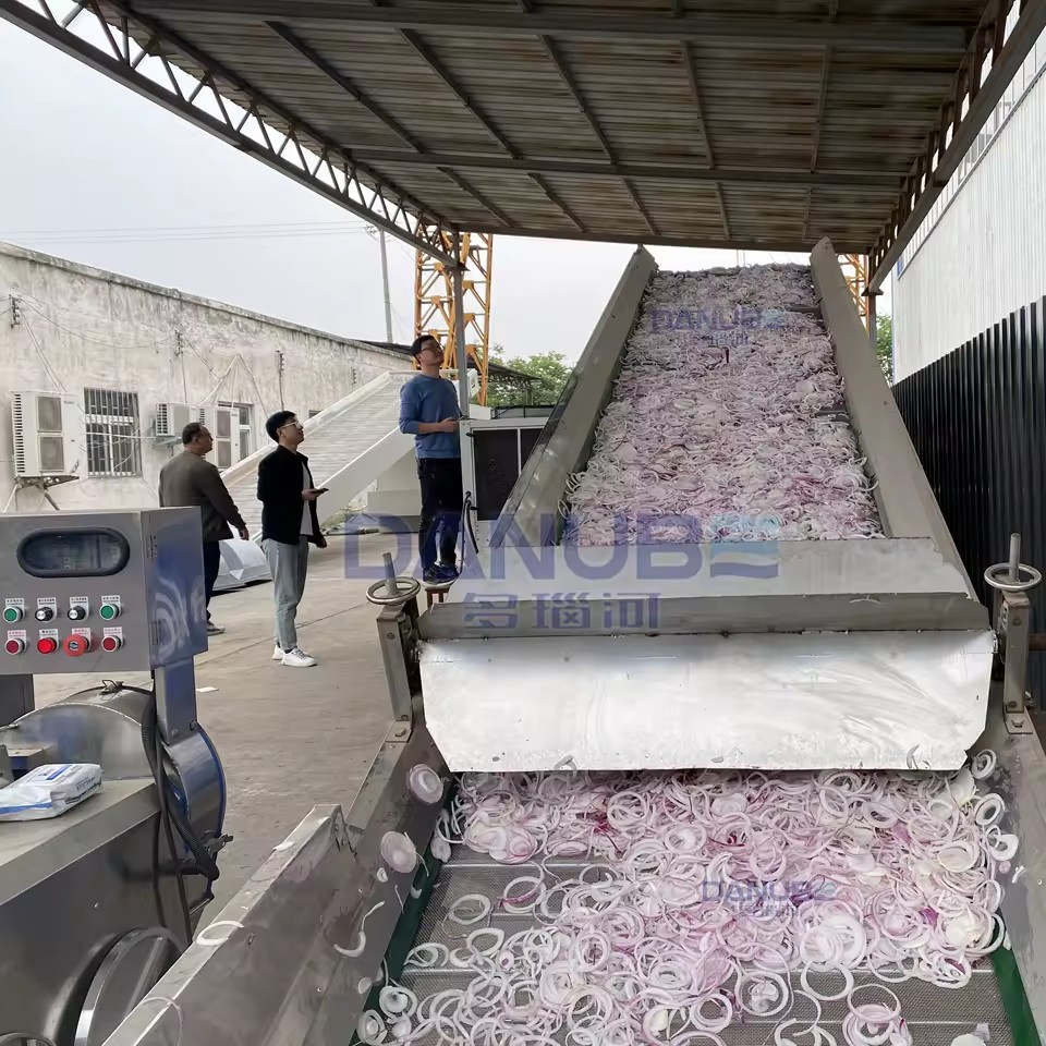 Professional Mesh Belt Dryer Onion Slicing and Drying Production Line Onion Dehydrator Machine