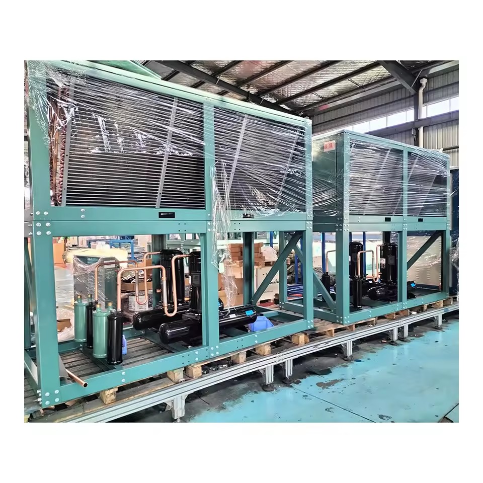 Scroll Unit for Vegetable Precooling Post Harvest Rapid Cooling Keep Green Freshness