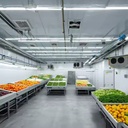 Cold Storage Coldroom Blast Freezer for Seafood and Ice Cream Preservation