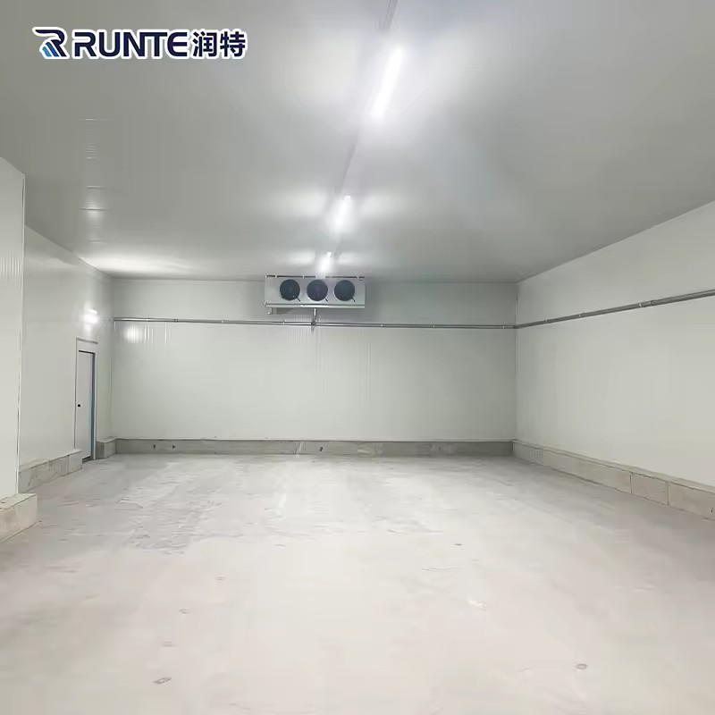 Industrial Blast Chiller and Freezer Room for Food Quality Preservation Cold Room