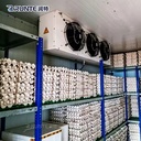 High Quality Refrigeration Unit Cold Room Air Cooled Condensing Unit Coldroom