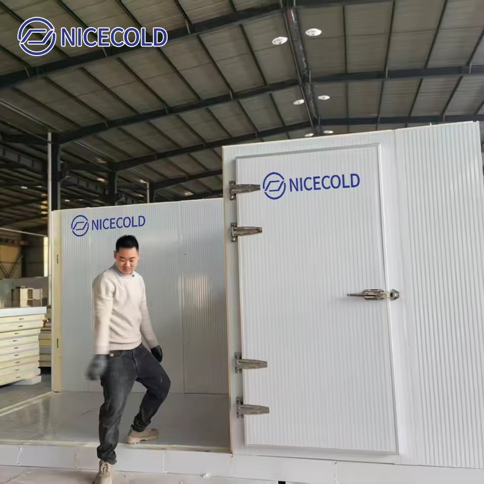 10x10x10ft Freezing Chamber Restaurant Equipment Cold Storage Room Walk in Cooler for Hanging Meat