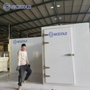 10x10x10ft Freezing Chamber Restaurant Equipment Cold Storage Room Walk in Cooler for Hanging Meat