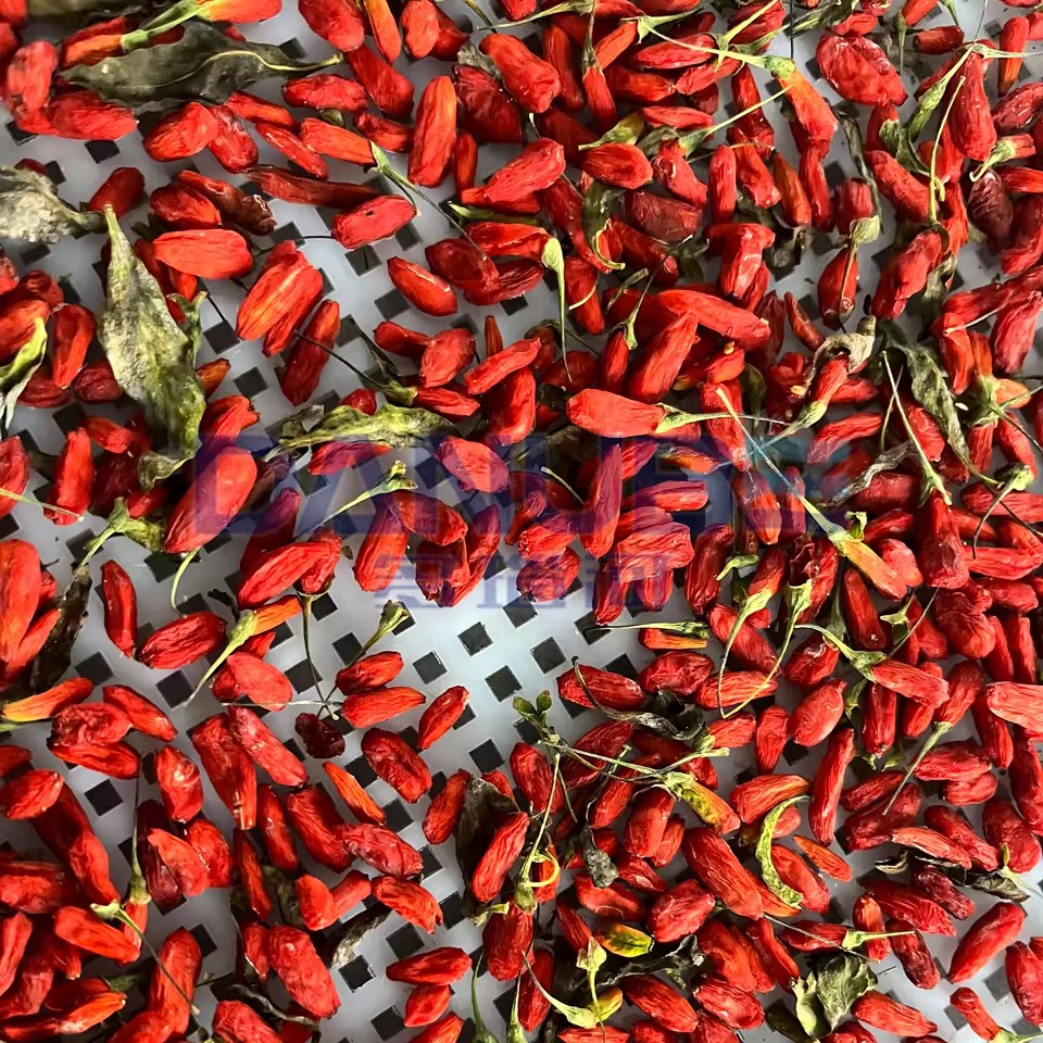 Quality Certification Heat Pump Drying Oven Room Wolfberry Dryer Fruit Dehydrator Equipment