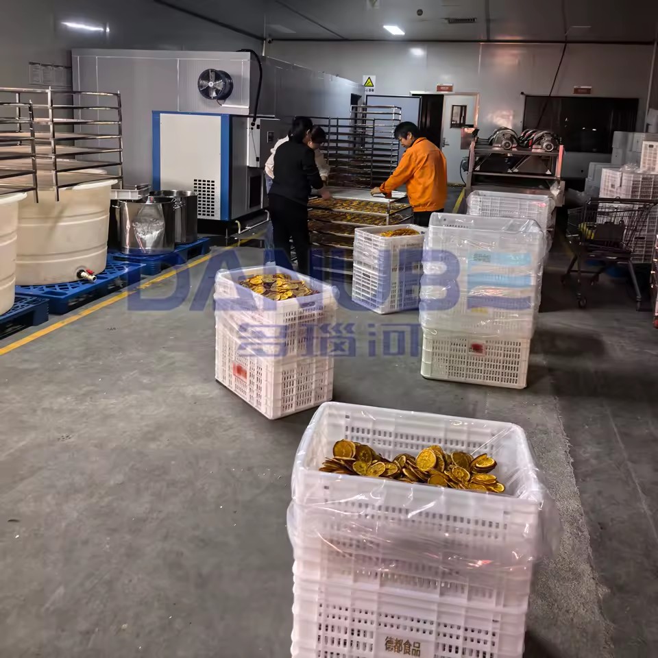 Professional Orange Heat Pump Drying Oven Room Orange Dryer Machine Fruit Dehydrator Equipment