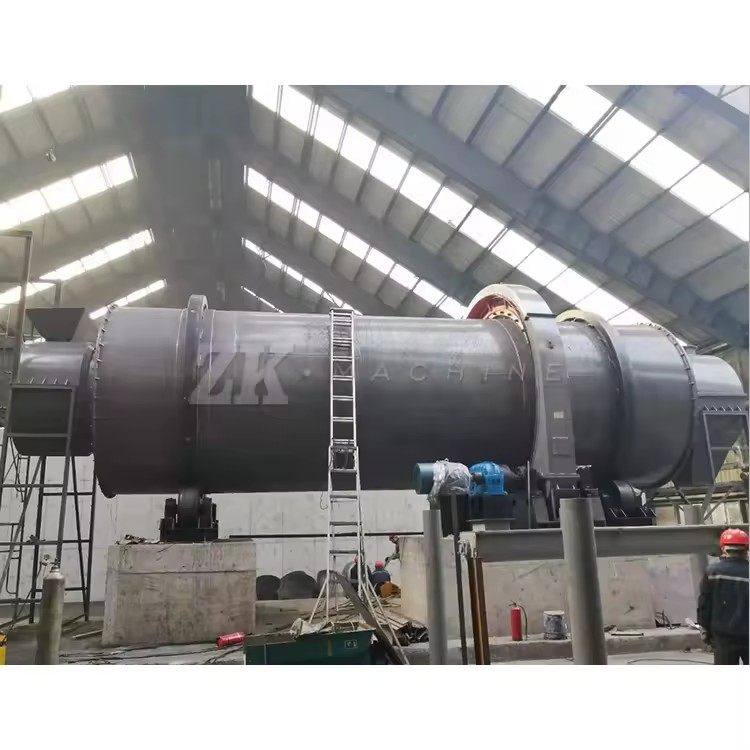 Dryer Machine in Dry Fish Vacuum Pressure Dry Raw Material Cooling Rotary Mixer Drying Pump Equipment