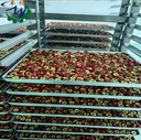 Vacuum Freeze Drying Machine with Stainless Steel Construction High Efficiency & Energy Saving Good Price