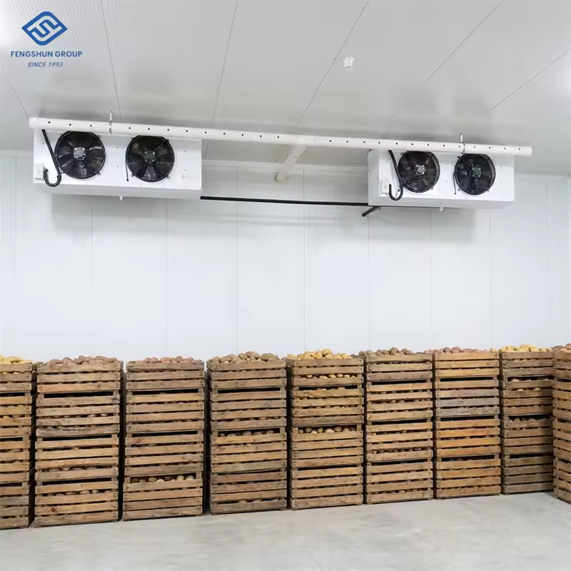 Automatic Control High Efficiency Cold Room with Fruit Warehouse Precision Humidity Control High Density Insulation