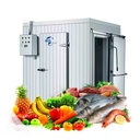 New Industrial Chiller Room Cold Storage Copeland Evaporative Condenser for Meat/Vegetable Cold Freezer Room Energy Saving