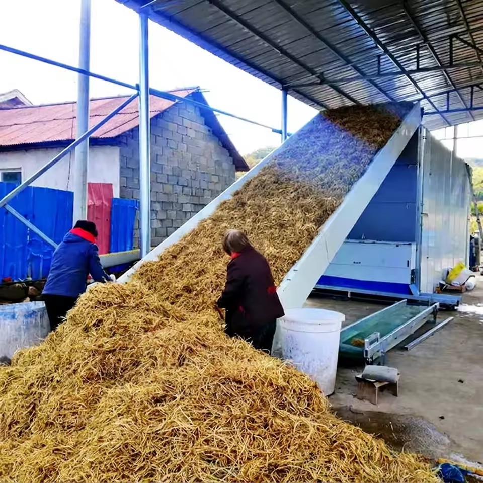 DANUBE Continuous Mesh Belt Dryer Machine Food Processing Gear PLC Controlled Ti High Efficiency Multi-Heating Organic Waste