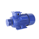 YC/YLthree-phase Induction Motors Customizable, Quality Guaranteed, After-Sales Assured