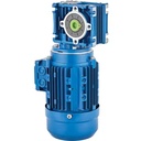 Topper Brand Electrical Motor with Customizable 1:15 Ratio Speed Reducer Gearbox