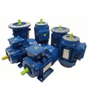 MS132S1-2-5.5kw 380V MS Series Three-Phase AC Electric Induction Motor