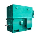YE3 Series High Voltage Three-Phase Induction Motor 10kV 6kV 280kW 500kW with 4-8 Stage Hardware Product