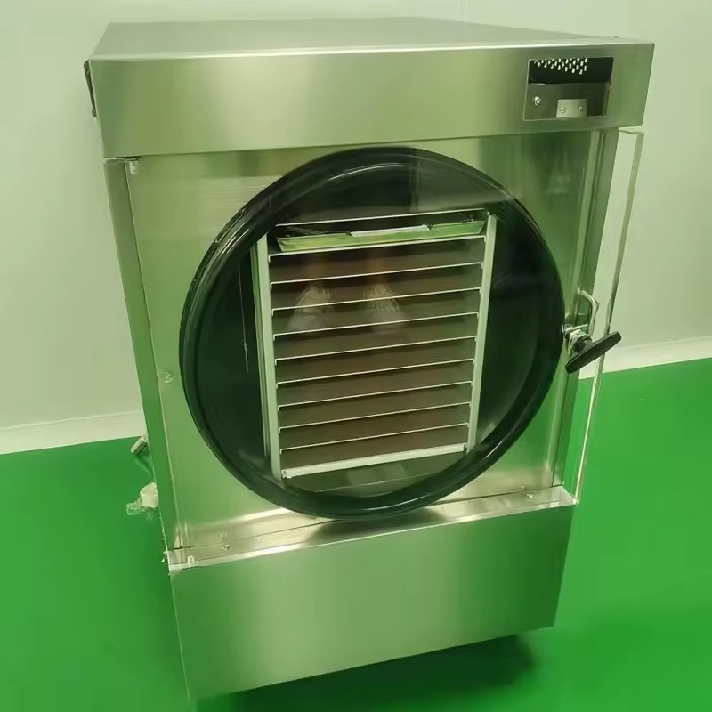 Chinese Factory Supply Modern Kitchen Freeze Dryer Machine 20kg/h Capacity SUS304 Stainless Steel Energy Food Processing Pump