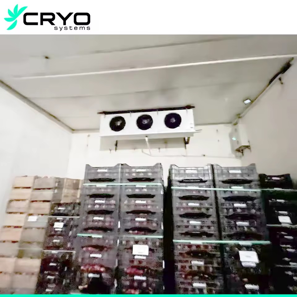 New Vegetable Cold Storage Green Cereals Legumes Walk-in Cooler Engine Motor Pump PU Panels Quick Freezing Tech