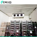 New Vegetable Cold Storage Green Cereals Legumes Walk-in Cooler Engine Motor Pump PU Panels Quick Freezing Tech