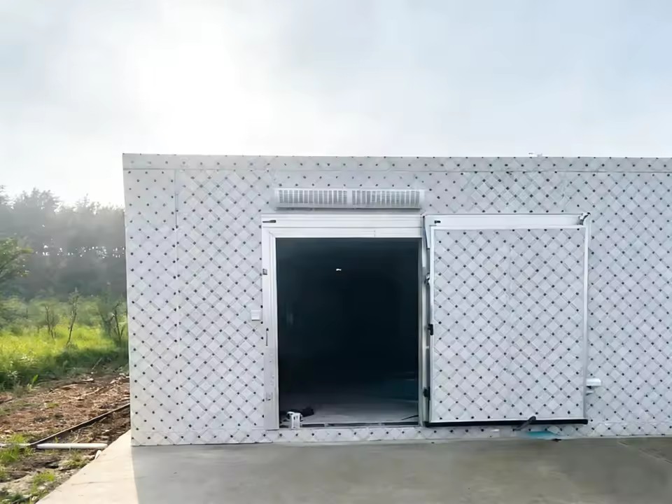 Professional Commercial Small Complete Cold Room Storage Refrigeration Unit for Fruit Preservation System Customizable Equipment