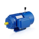 Industrial Electric Energy Motors 3 Phase Electrical Asynchronous Motor for Cutter Machine