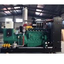 50kW 75kW 80kW Auto Start High Efficiency Biogas Generator with Water Cooling System IP23 for Chicken Pig Duck Farm Digester
