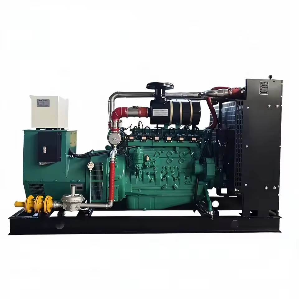 CE ROHS UKCA 80KW Biogas Generator-Livestock Farm Large-Scale Manure-to-Energy System 85% Efficiency Water Cooled Odor Control