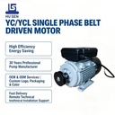 Most Popular High Quality Cast Iron Enclosed AC Single Phase Asynchronous Motor 1.1KW 220V 50Hz Foot Mount