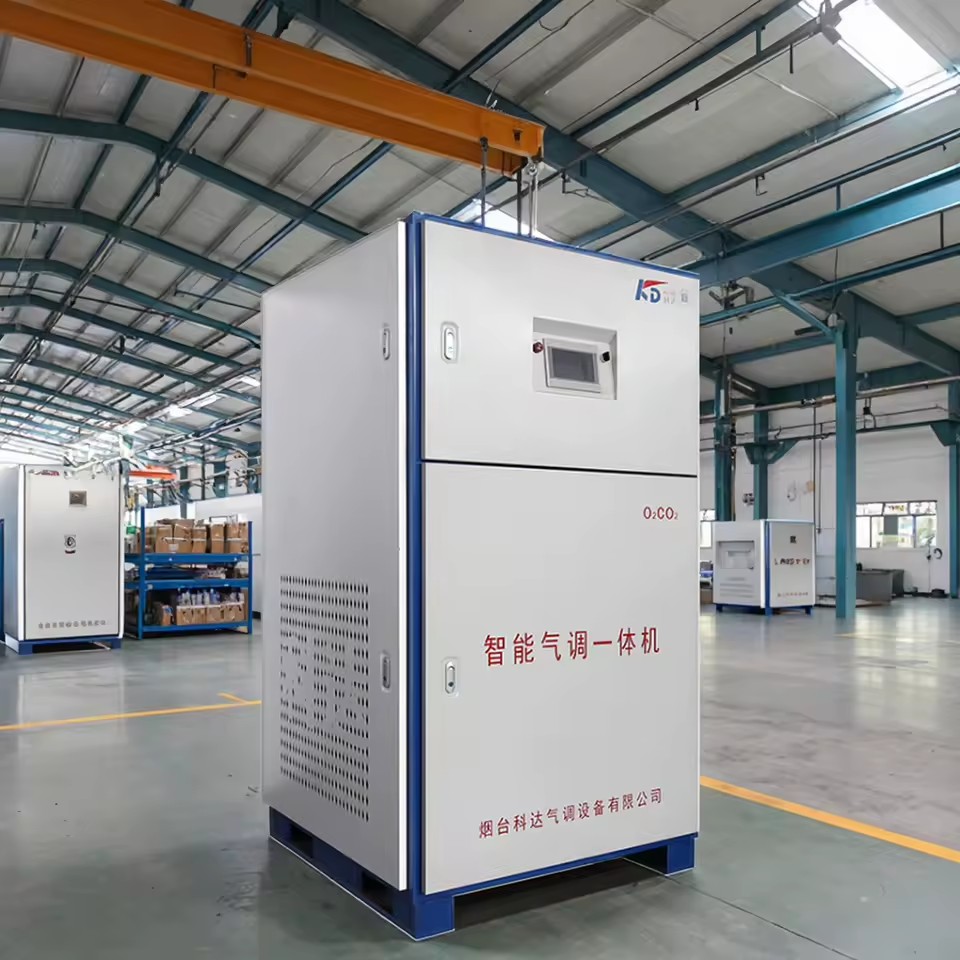 CAKFD Brand Air Controlled Cold Storage Equipment for Vegetables Fruits Flowers Warehouses CAKFD-100B Model 3 Cold Rooms AC 380V