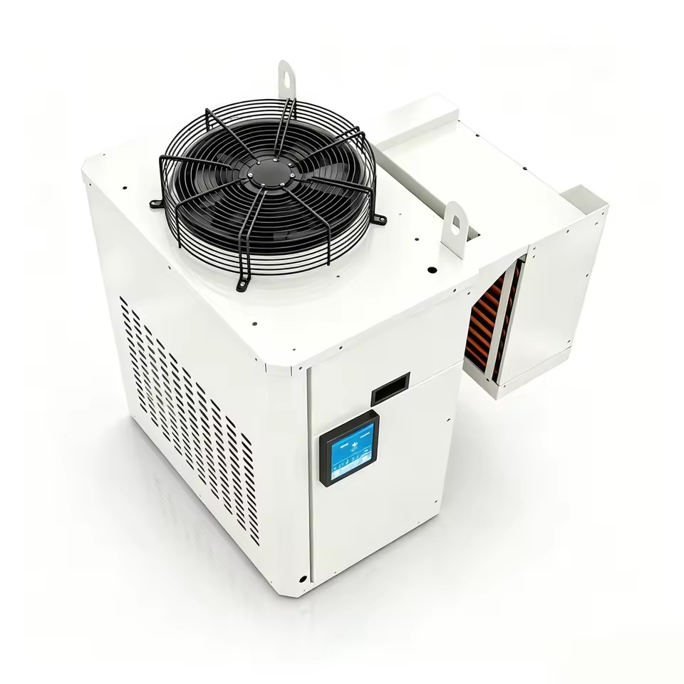 Wall-Mounted Monoblock Condensing Unit with Inverter Scroll Compressor R290 Refrigerant Energy Saving Pump for Cold Room Freezer