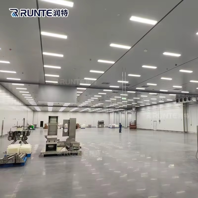 Best Quality Commercial Cold Storage Room Freezer Room Cooler Box for Meat/vegetables/chicken/flowers