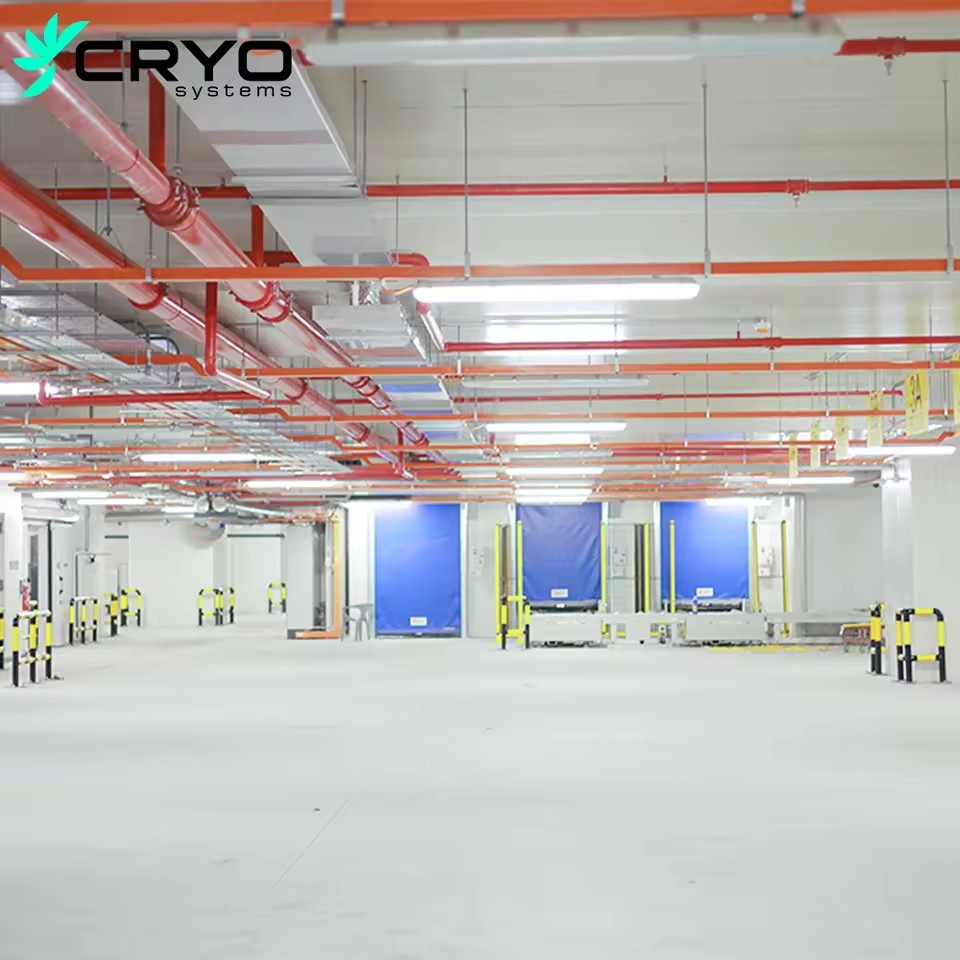 Massive Heavy Duty Cold Storage Room Large Projects Cam Lock Motor Engine Pump Energy Saving Quick Freezing Technology Solar