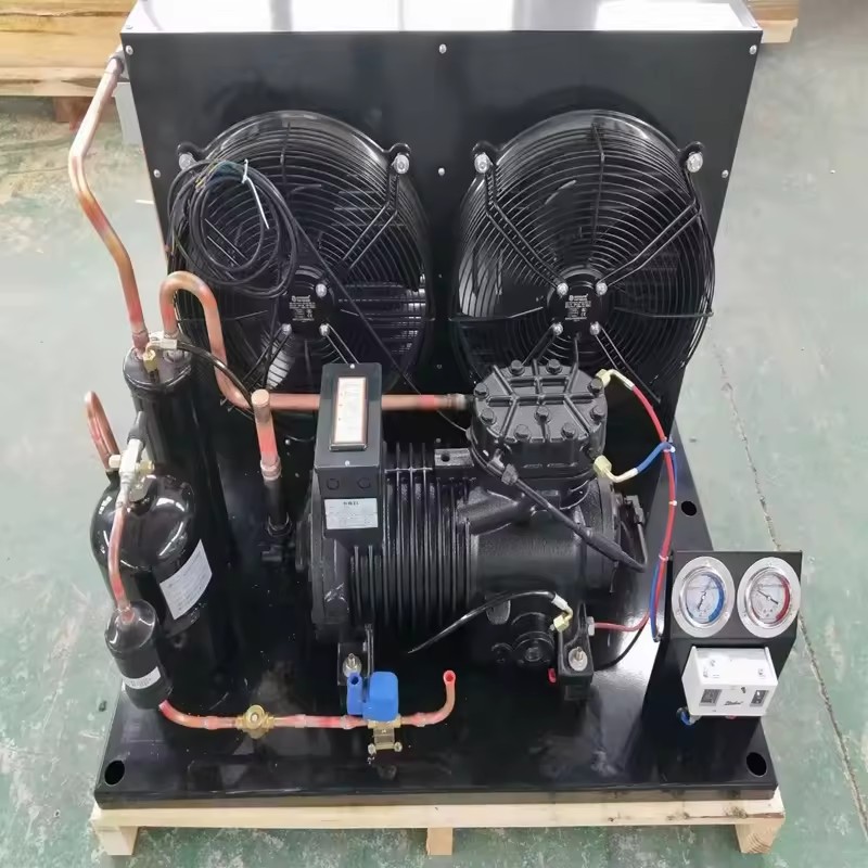 Copeland 5HP 8HP 10HP 12HP Flat Integrated Cold Room Refrigeration Unit Motor PLC 380V Energy Saving Remote Monitoring