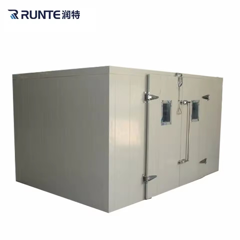 Efficient Medical Cooling System Cold Room for Vaccine Storage Trusted for Clinics Hospitals Engine Copeland Frascold Sanyo
