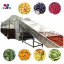 Food Dehydrator Machine Wire Belt Dryer with Gear for Food Processing Gas Heated High Efficiency Drying