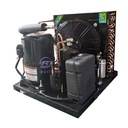 Commercial Low Temperature Energy Saving Machines Air Cooled Refrigeration Condensing Units With Core Motor Component