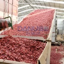 High Effective Mesh Belt Fresh Chili Drying Machine Chili Dehumidifier Machine Chili Dehydrator Equipment