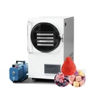 Best Quality 6kg Freeze Dryer Food Drying Lyophilizer Machine Price for Home With Oil Free Vacuum Pump Instock