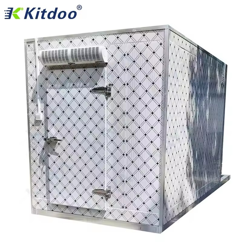 Commercial Freezer Room System Capacity Energy Saving Solar Cold Room Freezer Posit Cold Room for Seafood Meat