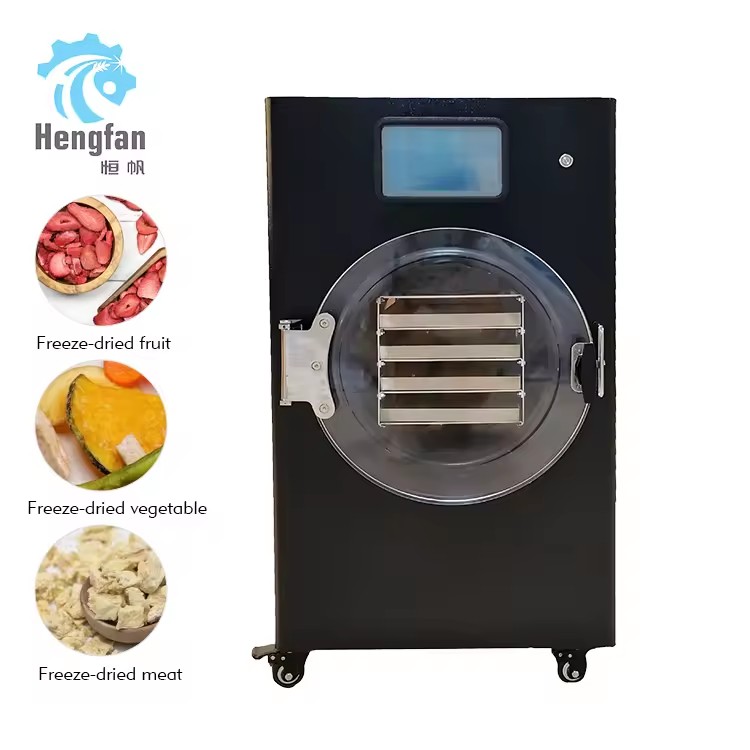 Premium Vacuum Food Freeze Dryer Machine Energy Saving Lyophilizer for Vegetable Fruit Meat Preservation