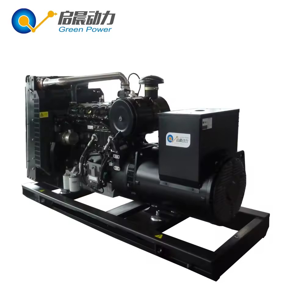 20kw 30kw 100kw 250kw 500kw 1mw CE Biogas to Electricity Powered Electric Generator Anaerobic Digester Plant Price Generador