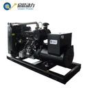 20kw 30kw 100kw 250kw 500kw 1mw CE Biogas to Electricity Powered Electric Generator Anaerobic Digester Plant Price Generador