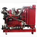 8.3L Natural Gas Combustion Engine Powered Electricity Generator Cng Alternative Energy Generators Set