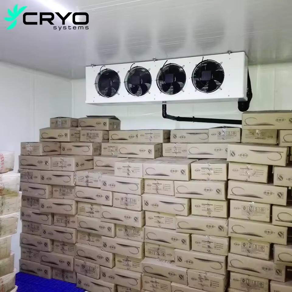 Low Temperature Energy Saving Solar Powered Cold Storage Room Quick Freezing Technology for Ice Cream Dairy Motor
