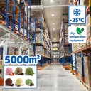 Intelligent Cold Storage Facility Refrigeration Unit for Co2 Cold Room Air Blast Freezer for Sale