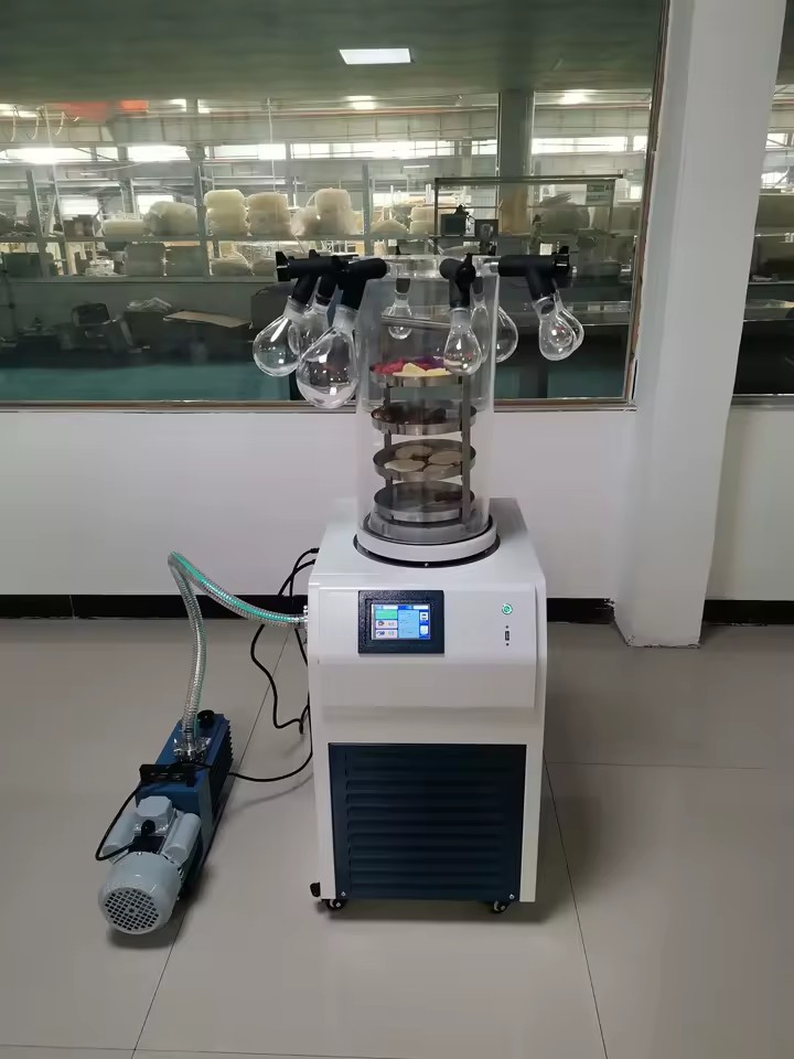 Advanced Precision Desktop Stainless Steel Scientific Research Pet Food Organic Snack Substance Laboratory Vacuum Freeze Dryer